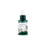 ROUND LAB Pine Calming Cica Ampoule Canada | Korean Skincare | Mikaela