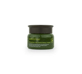 INNISFREE Green Tea Seed Deep Cream | Canada | Korean Skincare Mikaela