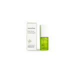 INNISFREE Green Tea Lip Conditioning Oil Canada | Korean Skincare