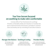 BENTON Tea Tree Serum Canada | Korean Skincare | Mikaela Beauty