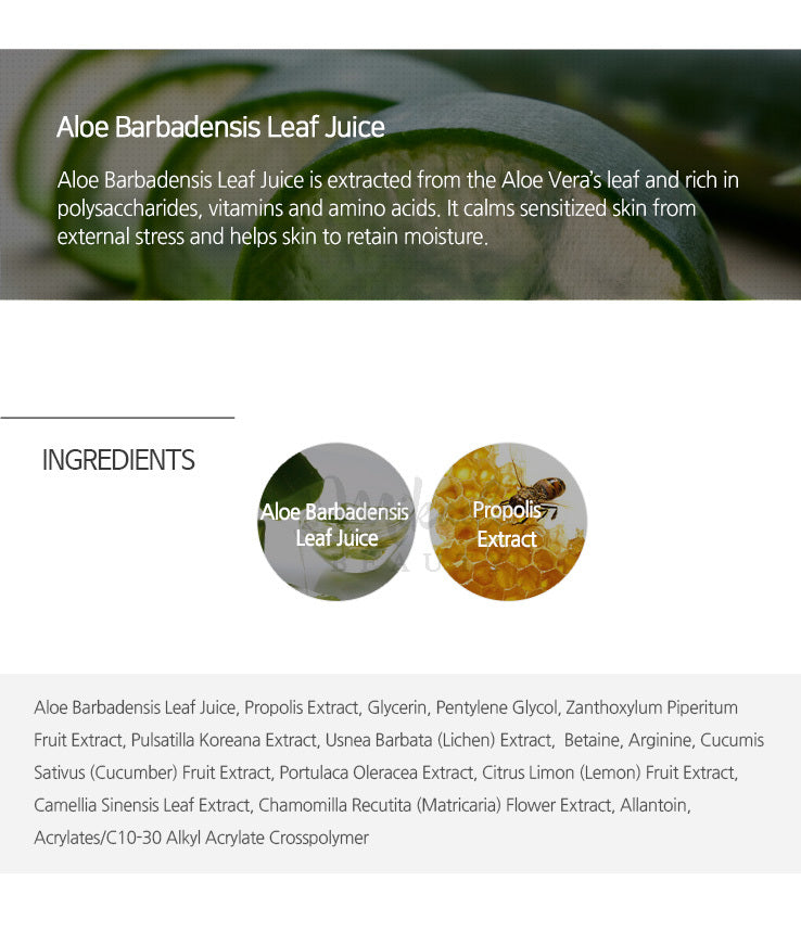 BENTON Aloe Propolis Soothing Gel Canada