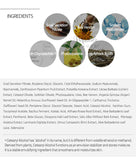 BENTON Snail Bee High Content Lotion | Korean Skincare | Canada & USA
