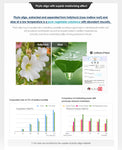 ISNTREE Hyaluronic Acid Toner Korean Skincare Canada | Mikaela Beauty