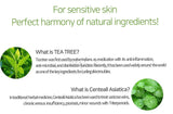 IUNIK Tea Tree Relief Toner | Korean Skincare Canada | Mikaela Beauty