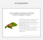 BENTON Snail Bee Ultimate Serum | Korean Skincare Canada | Mikaela